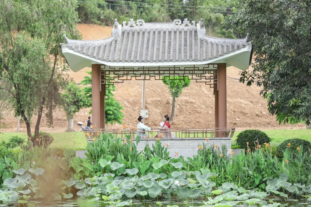 在梦幻九佛燕塘 徜徉在百万花海之中 目之所及皆是紫色盛宴 如梦似幻